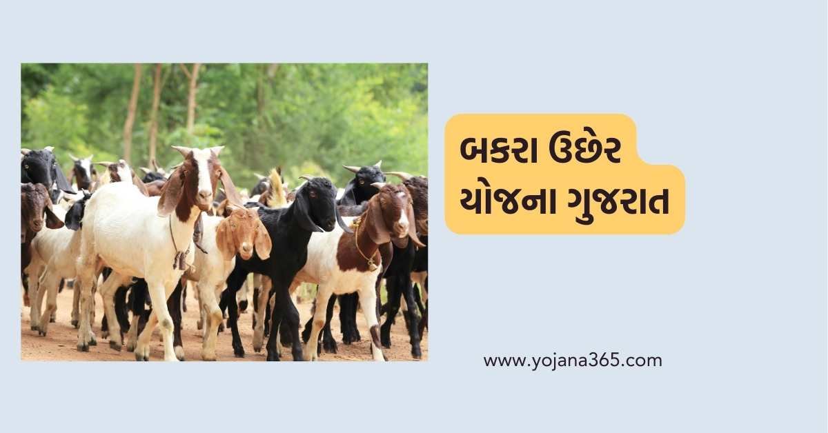 Bakara-Ucher-Yojana
