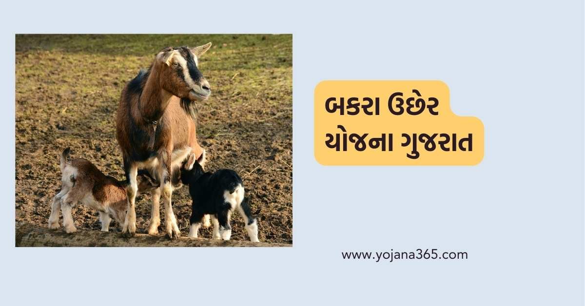 Bakara Ucher Yojana