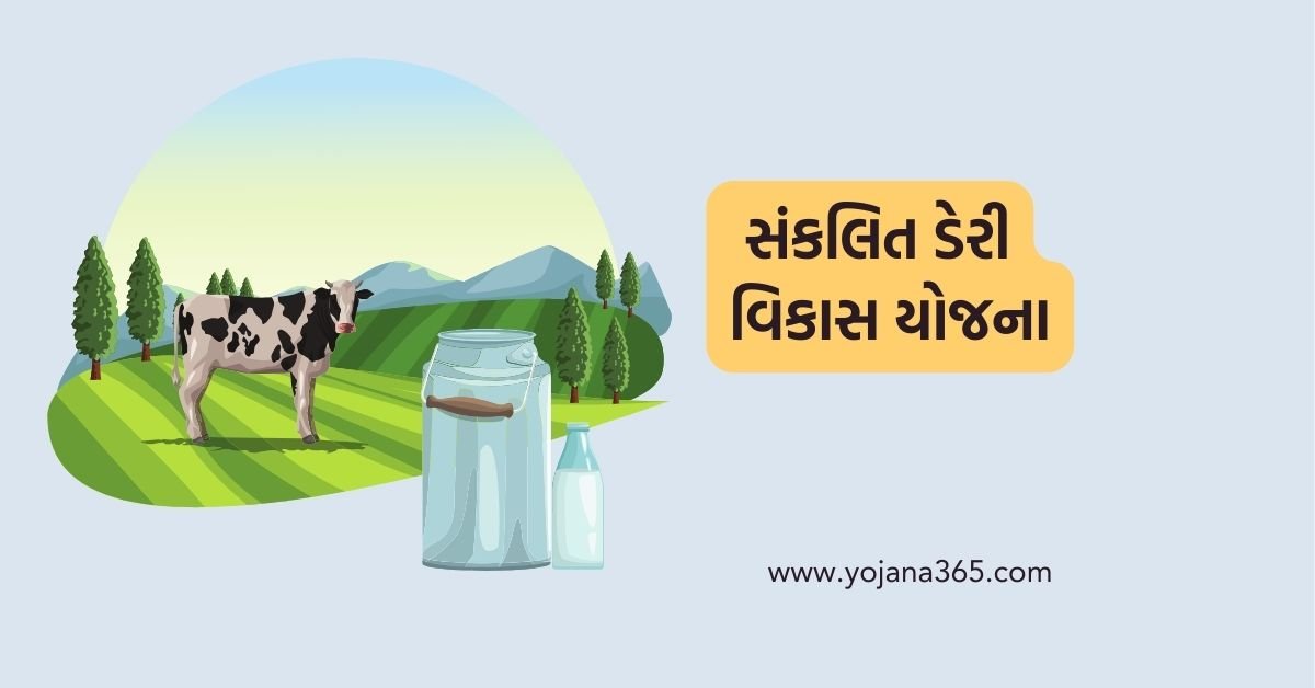 sankalit-dairy-vikas-yojana